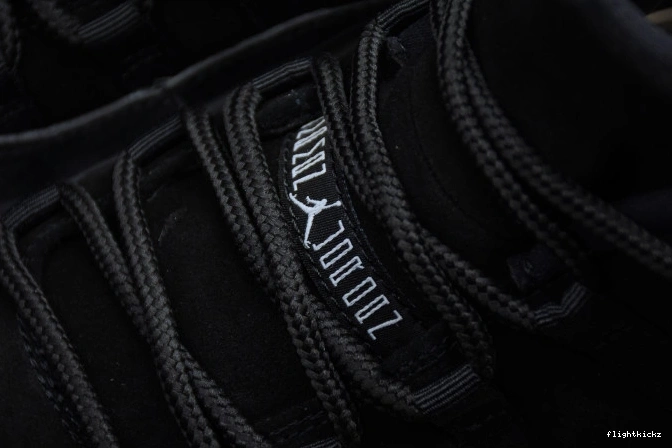 Retro 11 Jordan Air 528895-010 